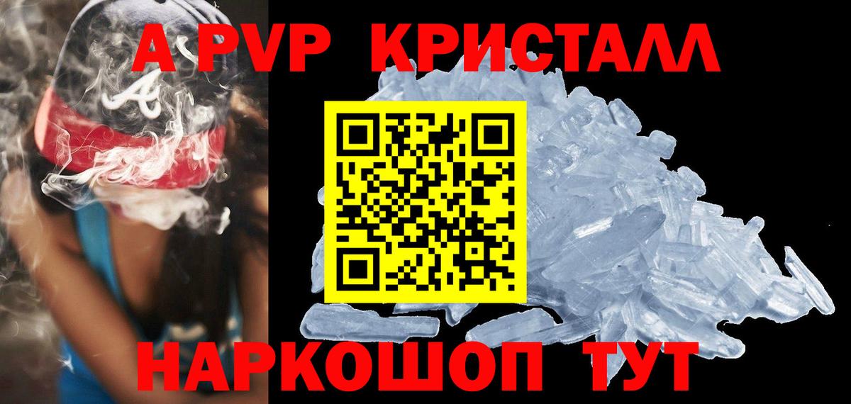 Псилоцибиновые грибы Калининград