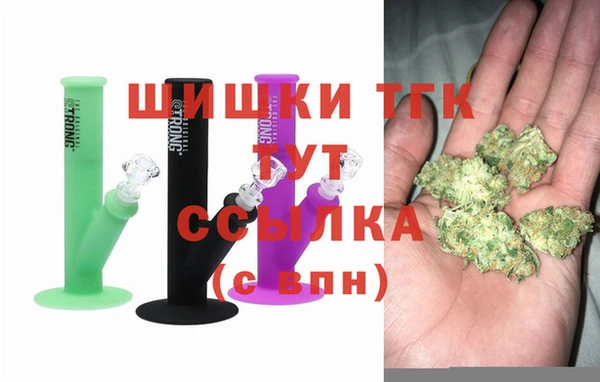 тгк Мегион