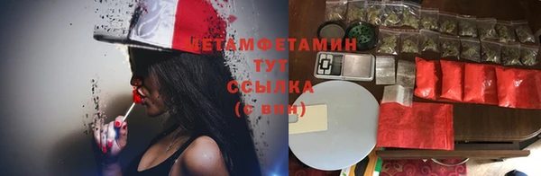 крисы Майский