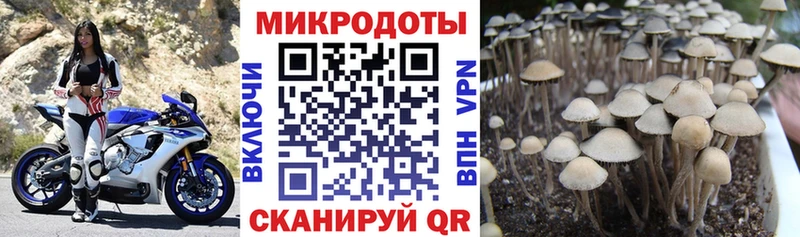 Псилоцибиновые грибы мухоморы  МЕГА ссылки  Калининград 